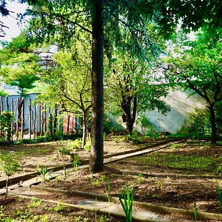 U6 Schoepfwerk Hostel 1 비엔나 외부 사진